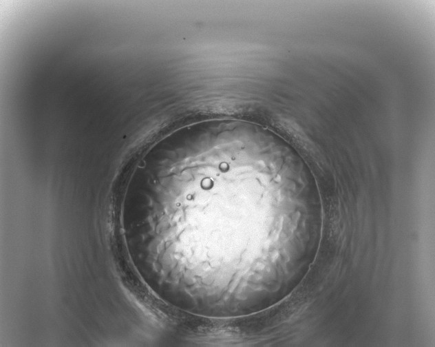 X0000071380683200606301810