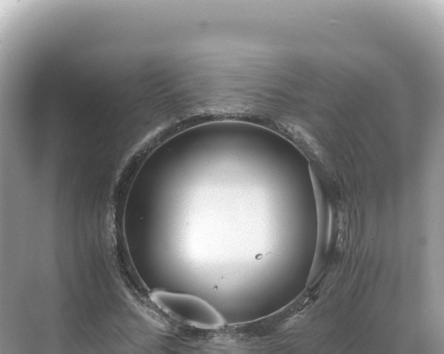 X0000071380684200606301810