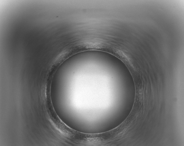 X0000071380686200606301810