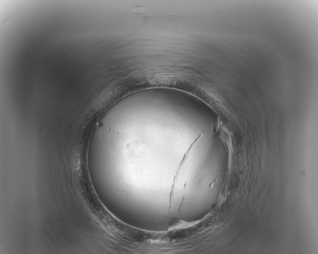 X0000071380687200606301810