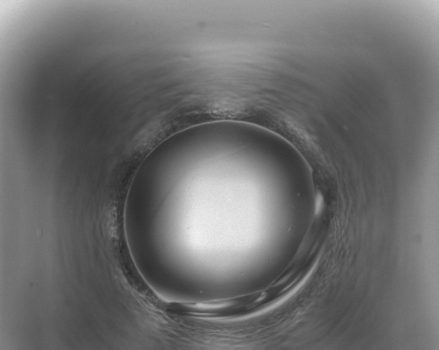 X0000071380689200606301810