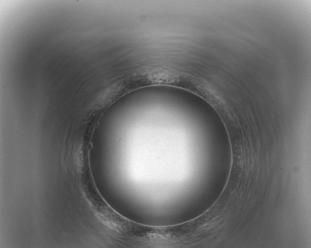 X0000071380690200606301810