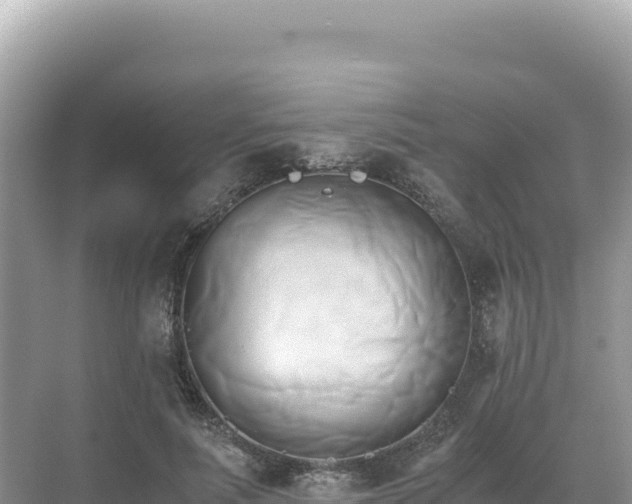 X0000071380691200606301810