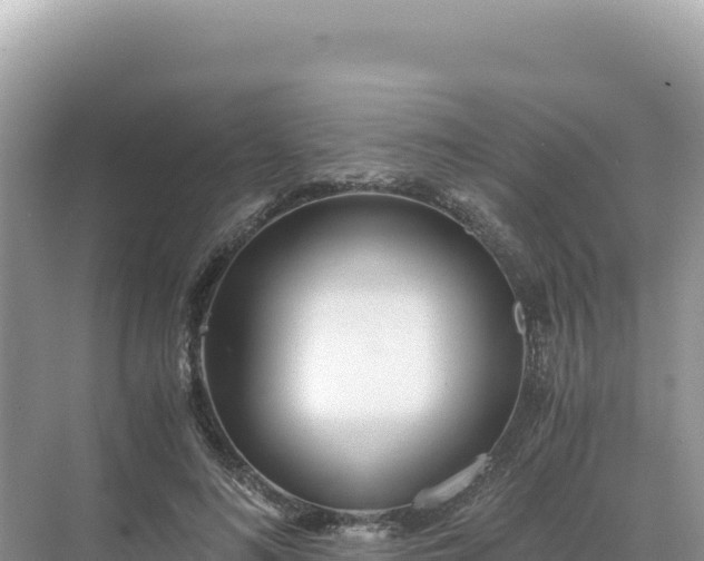 X0000071380692200606301810