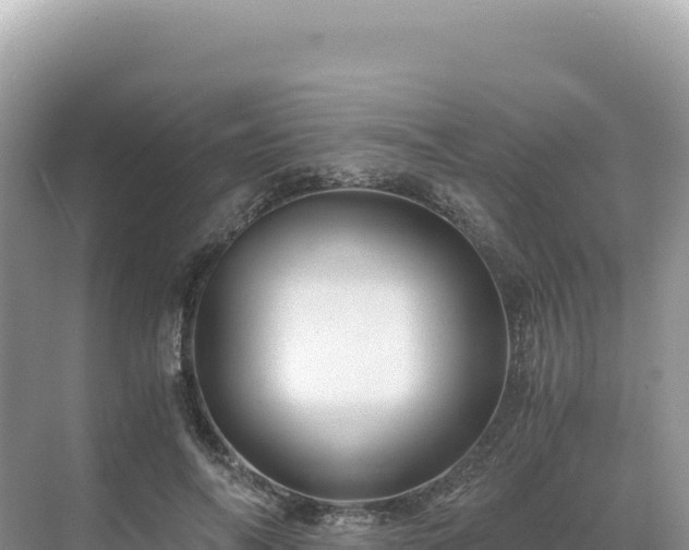 X0000071380694200606301810