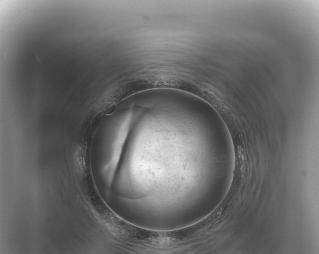 X0000071380695200606301810