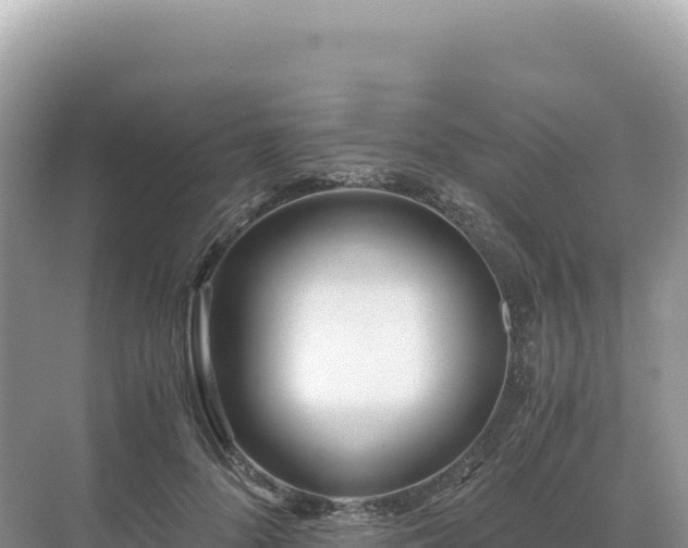 X0000071380696200606301810