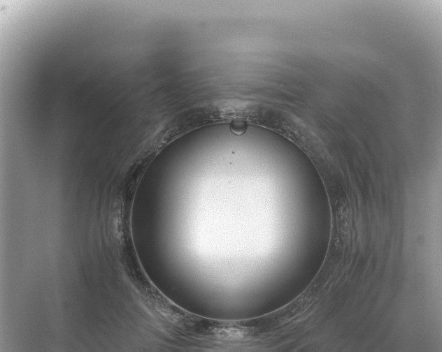 X0000071380698200606301810