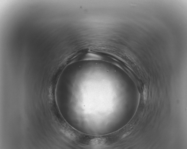 X0000071380700200606301810