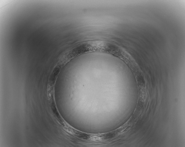 X0000071380701200606301810