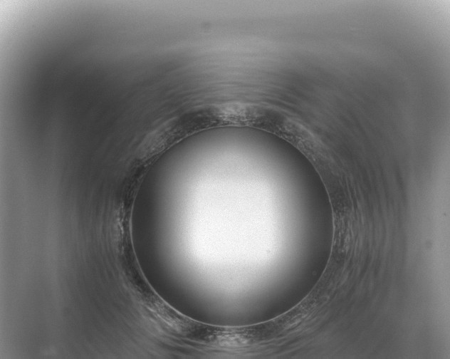 X0000071380702200606301810