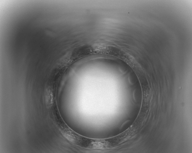 X0000071380703200606301810