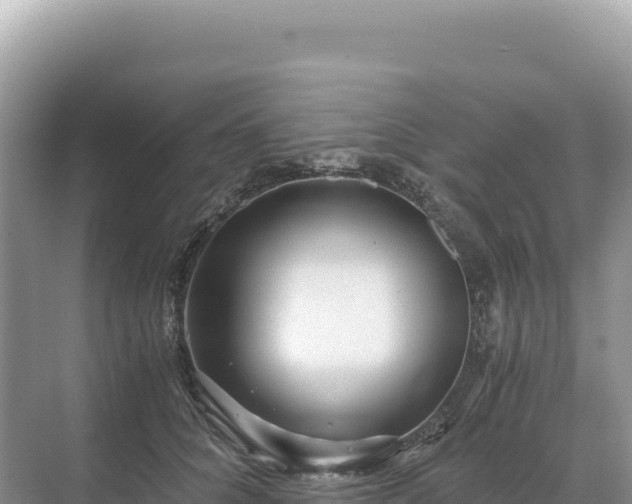 X0000071380704200606301810