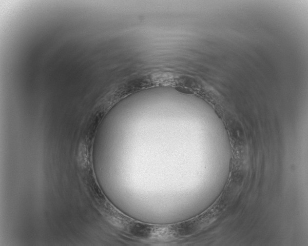 X0000071380705200606301810