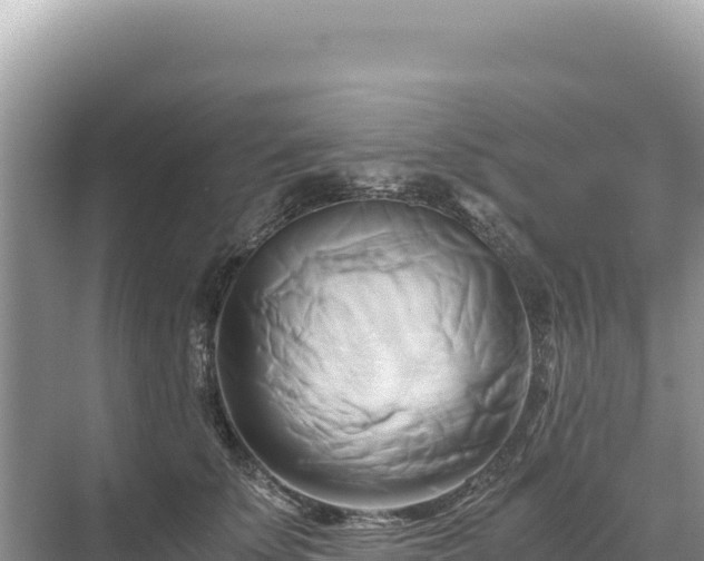 X0000071380707200606301810