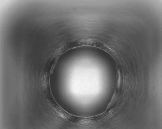 X0000071380708200606301810