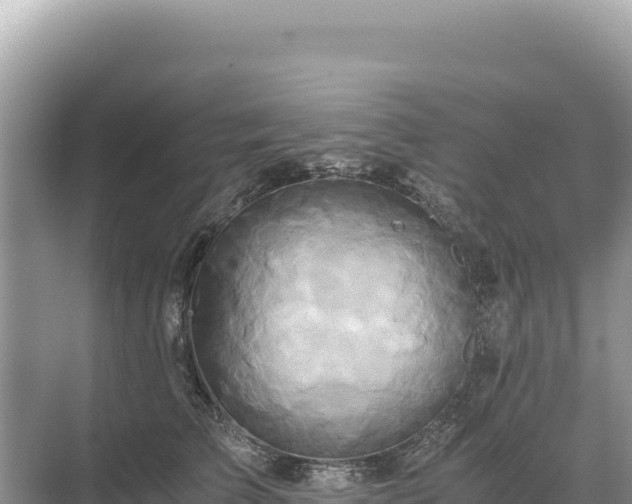 X0000071380709200606301810