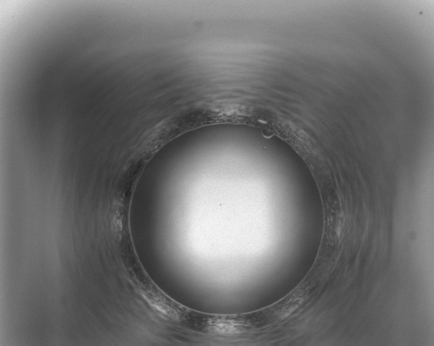 X0000071380710200606301810