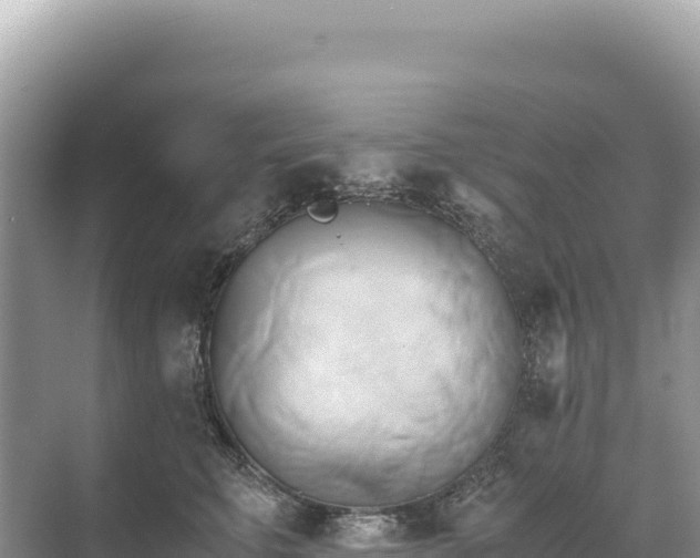 X0000071380711200606301810