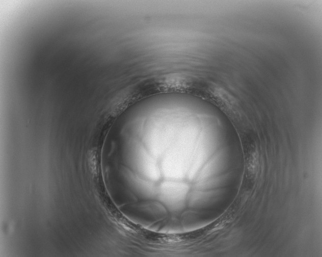 X0000071380715200606301810