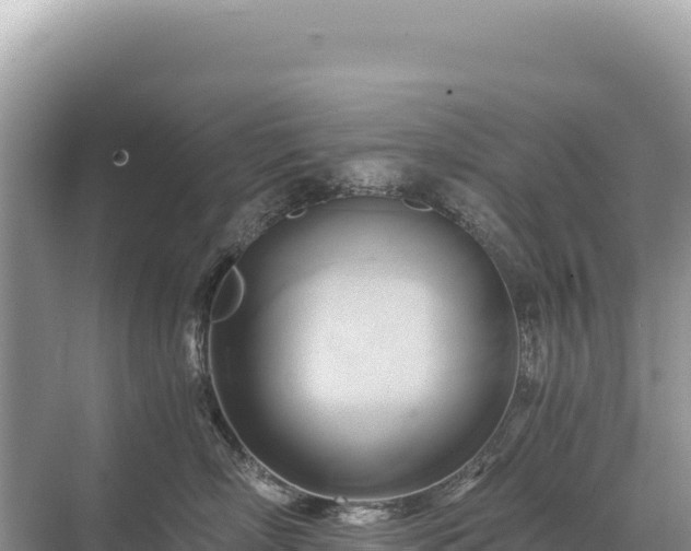 X0000071380718200606301810