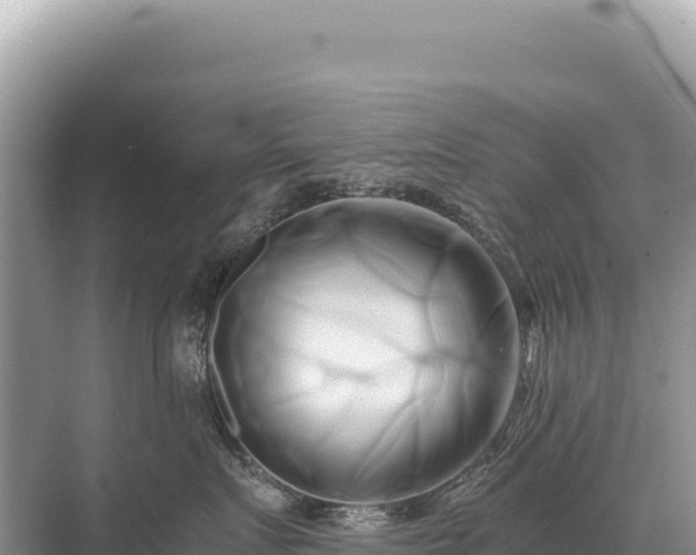 X0000071380719200606301810