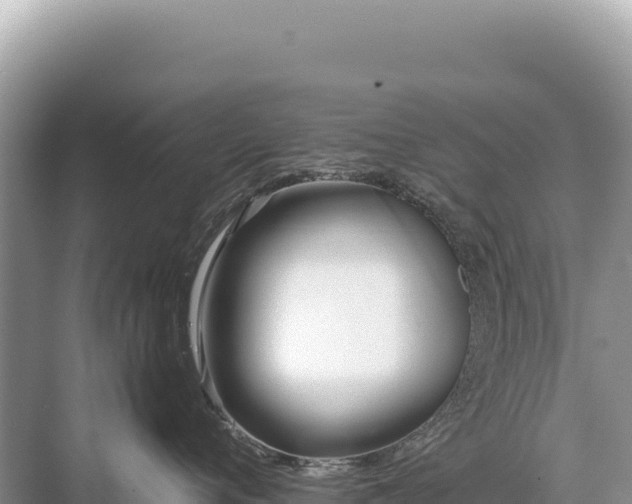 X0000071380720200606301810