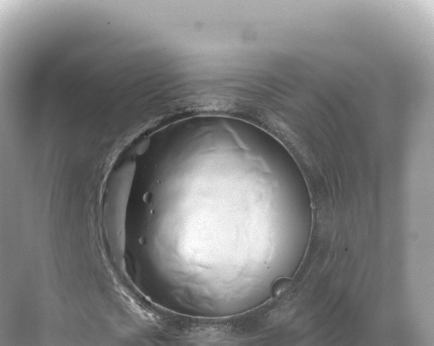 X0000071380721200606301809