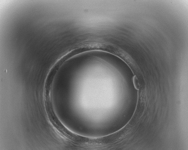 X0000071380722200606301809