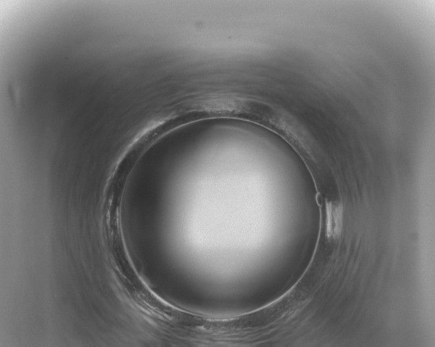 X0000071380723200606301809