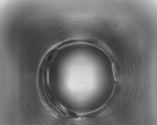 X0000071380724200606301809