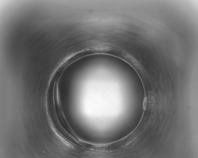 X0000071380726200606301809