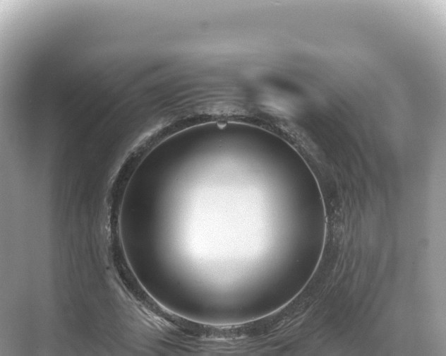 X0000071380727200606301809