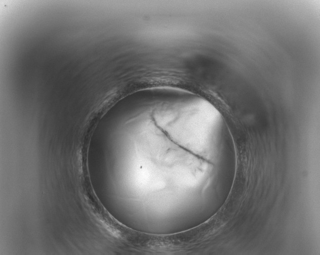 X0000071380729200606301809