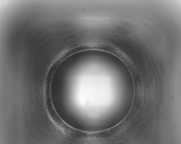 X0000071380730200606301809