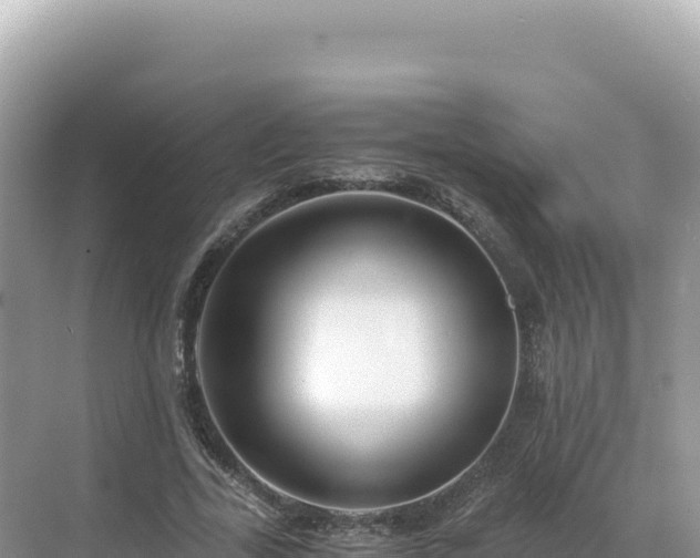 X0000071380731200606301809