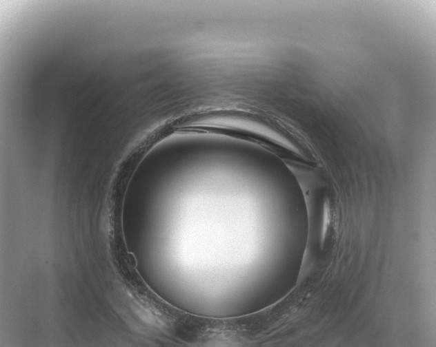 X0000071380732200606301809