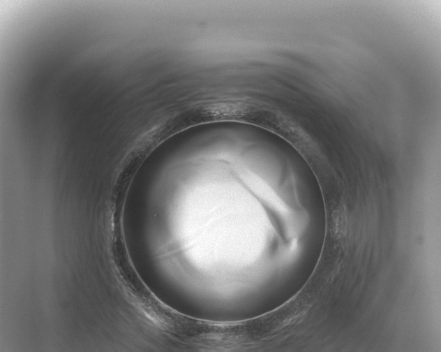 X0000071380733200606301809