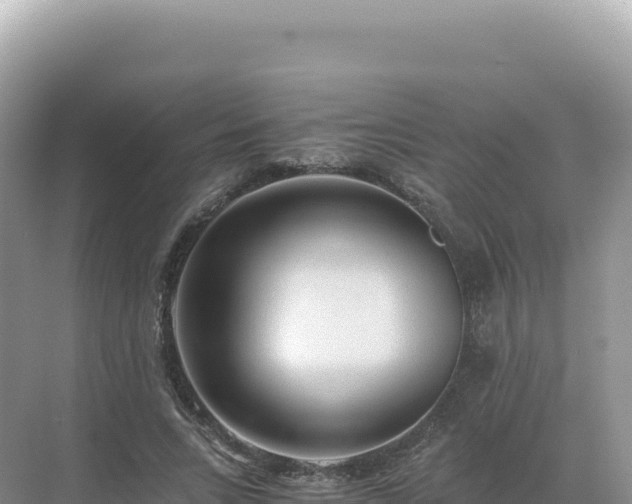 X0000071380735200606301809