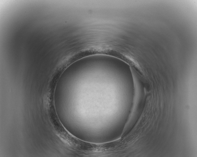 X0000071380736200606301809