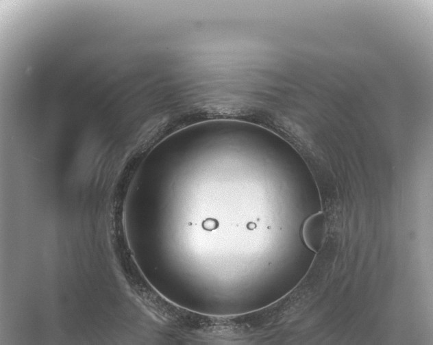 X0000071380738200606301809