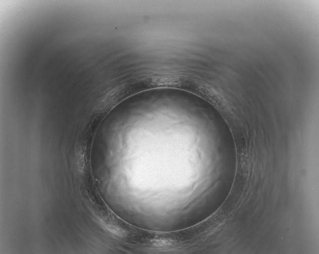 X0000071380741200606301809