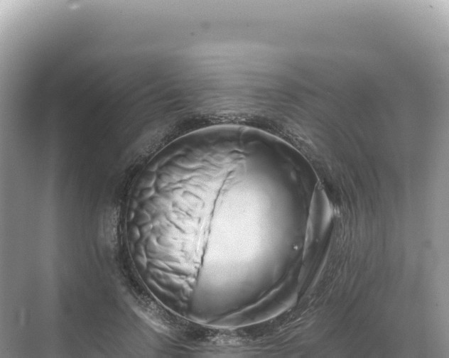 X0000071380742200606301809