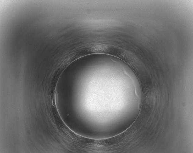 X0000071380743200606301809