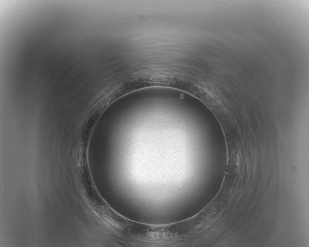 X0000071380744200606301809