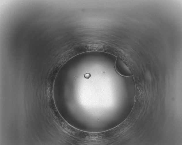 X0000071380745200606301809