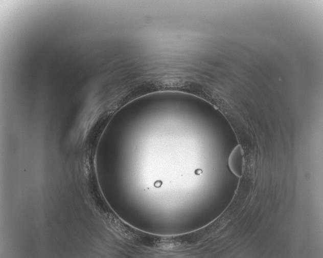 X0000071380746200606301809