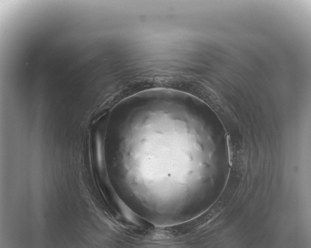 X0000071380750200606301809