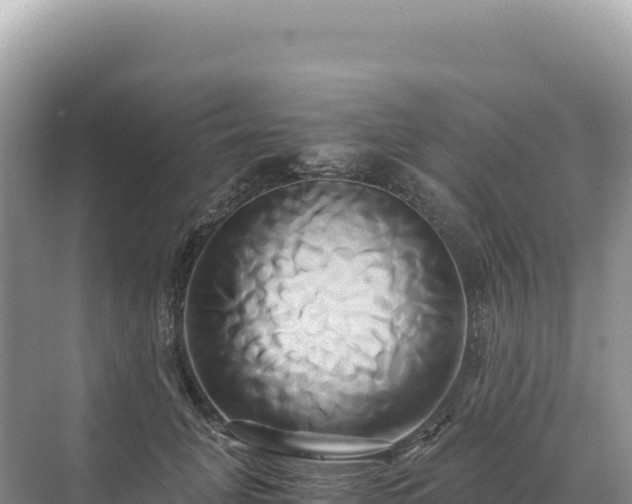 X0000071380751200606301809