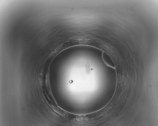 X0000071380752200606301809